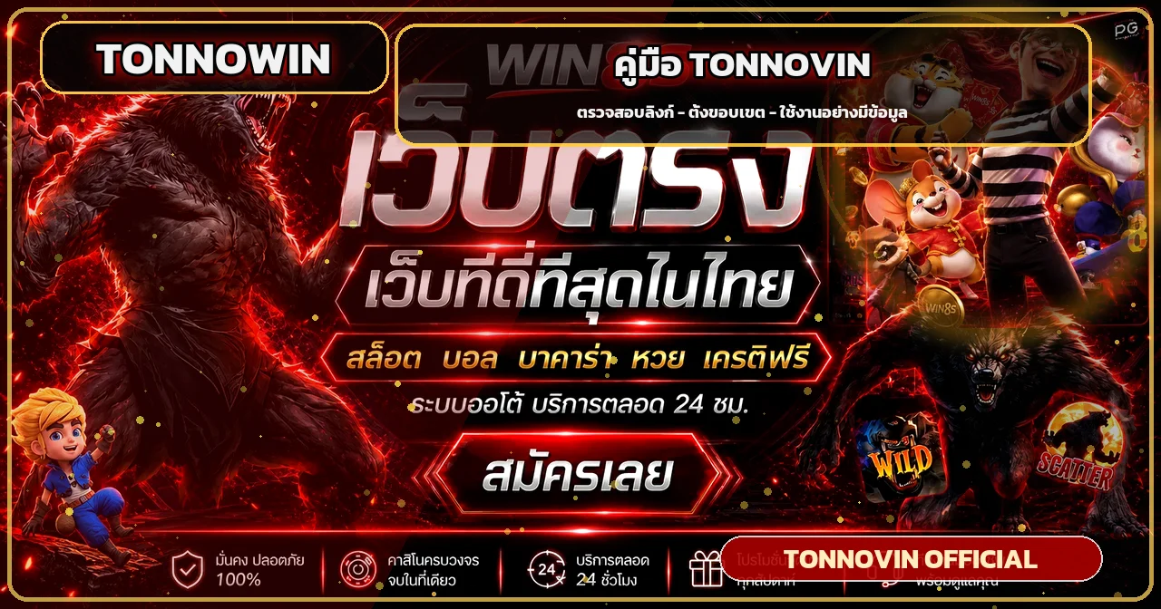 tonnovin คืออะไร | คู่มือเริ่มต้นใช้งานครบ